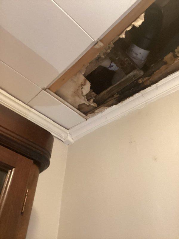 Responded to emergency water leak in bathroom with water penetrating through ceiling to lower level. Upon arrival, performed exploratory demolition of ceiling drywall and wall sections to locate source of active leak. Removed damaged drywall panels at ceiling corner and adjacent wall area, exposing wooden framing members, joists, and plumbing infrastructure. Investigation revealed multiple plumbing fixtures or supply lines within bathroom causing water intrusion. Documented extent of water damage to structural wood members showing visible moisture staining and discoloration. Identified compromised PVC piping and other plumbing components within ceiling cavity requiring repair. Photographed exposed conditions for insurance documentation and repair planning.