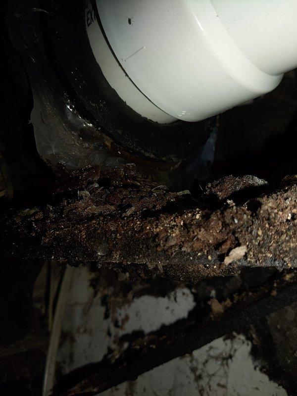 Replaced severely corroded drain stack due to advanced deterioration and rust compromise. Installed new plumbing stack with proper connections to toilet flange and drainage system, ensuring all fittings were secured and tested for proper flow and seal integrity.