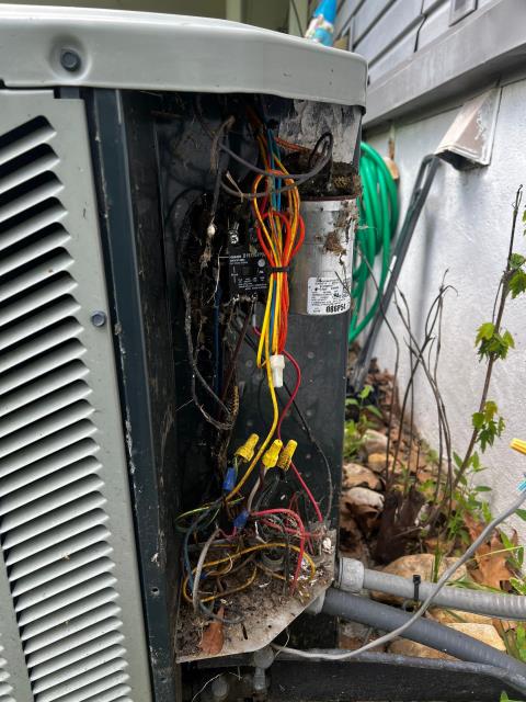 Completed a no-cooling service call in Warminster, PA 18974, where the central AC wasn’t reaching the set temperature. Found the system breaker off, condenser clogged with dirt, and low refrigerant charge. Performed deep chemical coil cleaning, recharged the R-410A system, and secured all electrical connections. Cooling restored, though the condenser fan motor will be monitored for overheating.