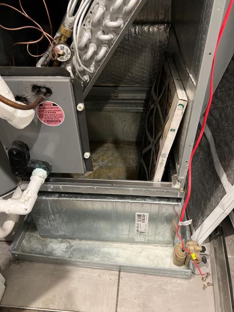 Wrapped an ac service call for an ac leak in philadelphia, pa 19130, where the condensate pan was overflowing and water had pooled in the utility closet. Found a clogged drain line and an uncapped secondary drain port on the coil. Cleaned the drain, capped the open port, and cleared the condensate pan. The system now draining properly and cooling efficiently.