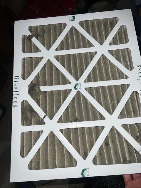 Performed a no-heat call in philadelphia, pa 19146. The tenant reported no warm air in the back room and severe drafts during extreme cold. Found a dirty filter and discovered that both supply and return vents were installed high, causing poor air circulation. Took air probe readings, supply at 120°f, and return at 66°f, and recommended adjustments for better airflow.