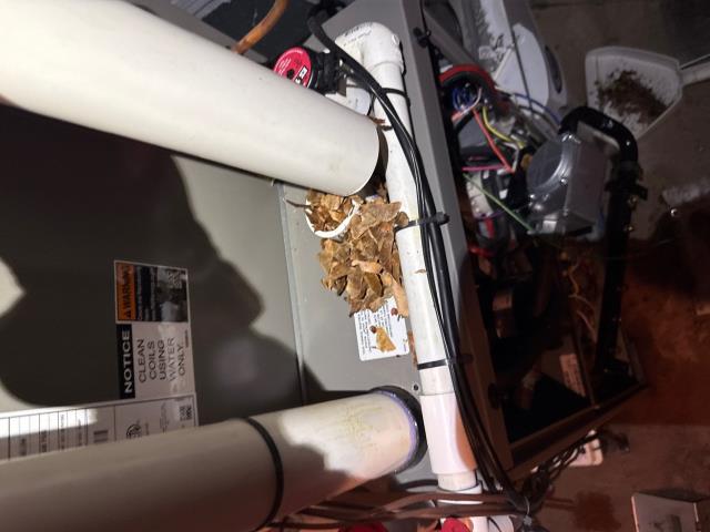 We serviced a furnace that wasn't heating properly. We found and cleared debris from the condensate drain line. Now, the heater works perfectly, ensuring reliable warmth.