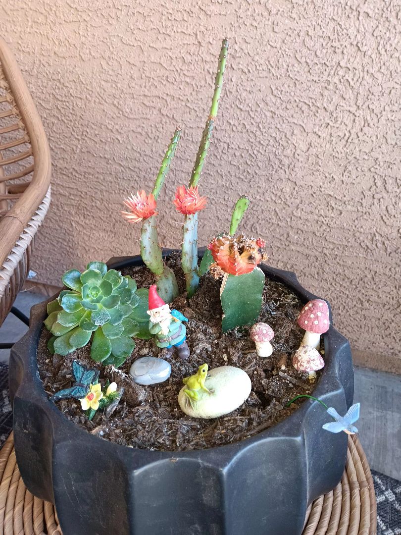 Performed ac maintenance 