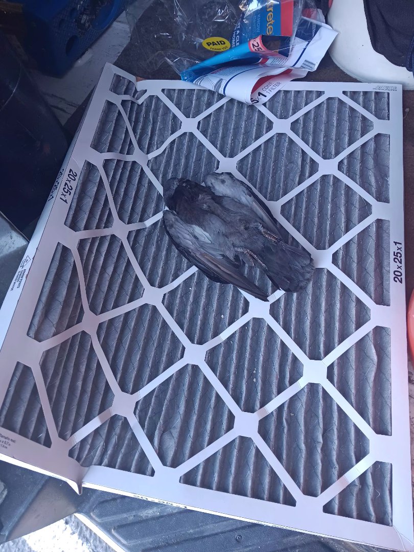 Performed ac heating maintenance 