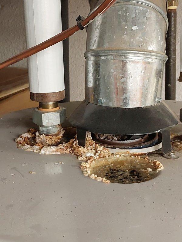 Performed Worry Free Service Agreement maintenance on customer's heating system. Noted deterioration and damage at the base of the metal vent pipe, including a concerning hole/opening where the flue connects to the unit. Documented condition with photos showing potential water damage and deteriorated insulation around connection points.