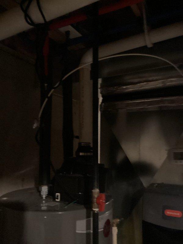 Performed assessment of 10-year-old Rheem water heater located in basement requiring replacement. Documented existing installation including PVC venting configuration, gas line connections, and water supply piping. Provided estimate for complete water heater replacement service including proper disposal of existing unit and installation of new system with all necessary code-compliant connections.