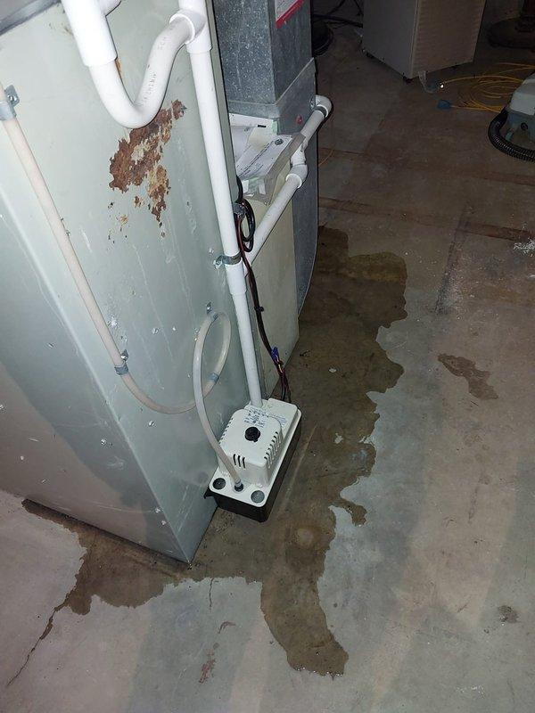 Responded to service call for humidifier leak. Diagnosed continuous water flow through unit with significant water damage evident on adjacent wall and concrete floor. Observed active dripping from humidifier housing into collection tray with notable mineral buildup and discoloration, indicating prolonged leak issue. Serviced unit to restore proper drainage function.