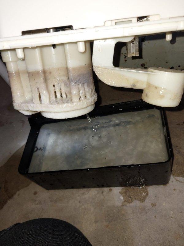 Responded to service call for humidifier leak. Diagnosed continuous water flow through unit with significant water damage evident on adjacent wall and concrete floor. Observed active dripping from humidifier housing into collection tray with notable mineral buildup and discoloration, indicating prolonged leak issue. Serviced unit to restore proper drainage function.