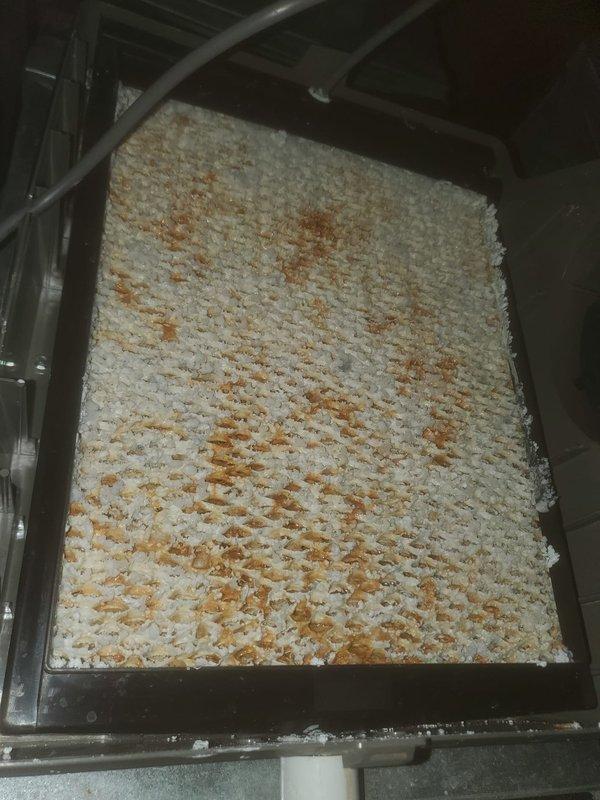 Completed annual heating maintenance on 5-year-old furnace system located in basement. Inspected and documented heavily soiled air filter with significant dust accumulation requiring replacement. Checked condensate drain system, noting proper installation but minor staining around floor drain connection indicating previous moisture accumulation. System functioning within normal parameters; maintenance completed per prepaid service agreement.