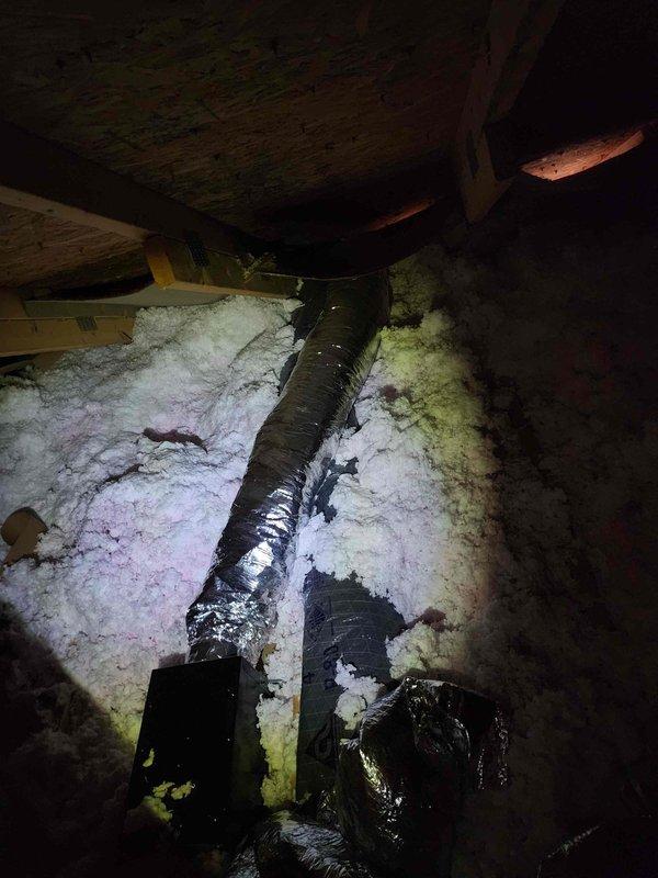 Performed inspection of bathroom exhaust fan reported to be making unusual noise. Accessed attic crawlspace to examine fan unit and ductwork. Located metal HVAC ducting wrapped in reflective insulation with disturbed fiberglass insulation surrounding the area. Identified debris blockage in fan housing causing operational noise, cleared obstruction and verified proper functionality before completing service.