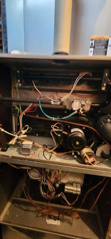 Performed scheduled heating tune-up on 14-year-old Bryant furnace located in basement. Inspected internal components including blower assembly, electrical connections, and control boards; noted some dust accumulation on components but system is functioning properly. Completed all standard maintenance procedures per Worry Free Service Agreement requirements.