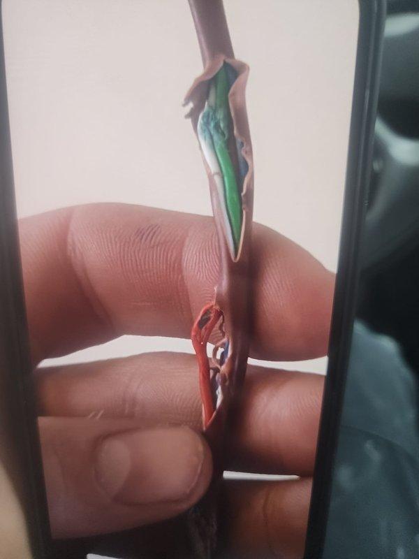 Responded to Lennox furnace displaying alarm code #11. Inspected and found damaged flame sensor wire with compromised insulation. Repaired wiring to restore proper flame detection circuit functionality, resolving the alarm condition.