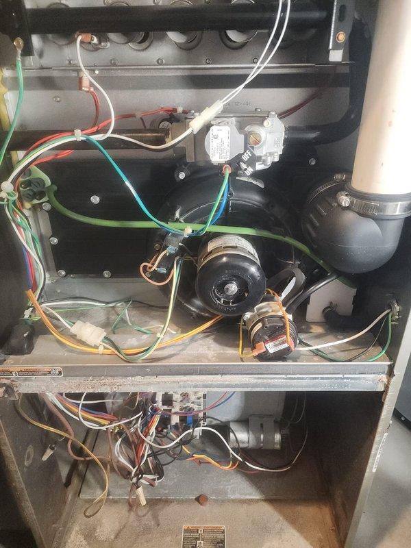 Performed scheduled furnace maintenance under Worry Free Service Agreement on Bryant HVAC system. Inspected interior components including blower assembly, gas valve, control board, and wiring connections. System is functioning properly with no issues identified; unit was left in normal operating condition.