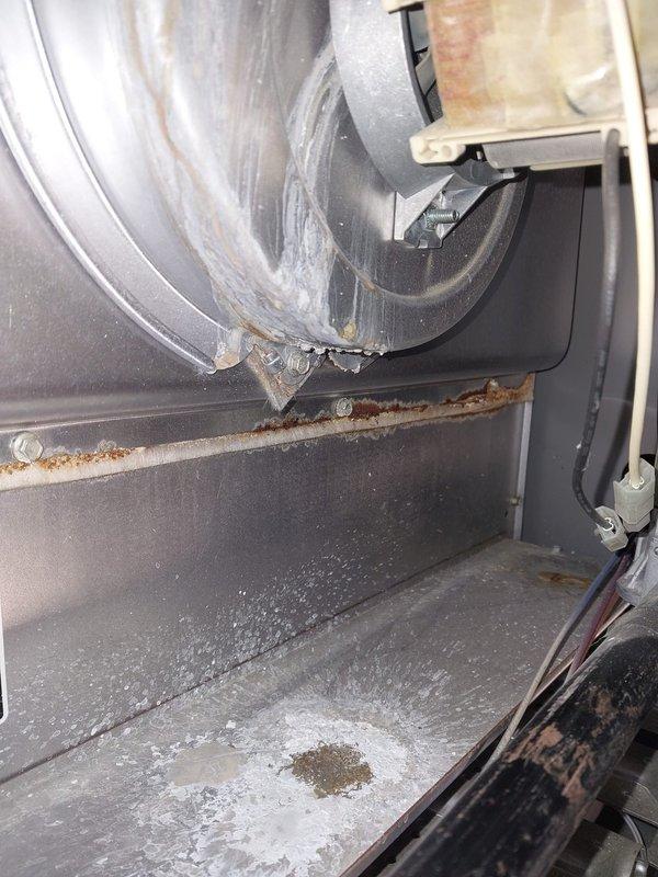 Performed scheduled maintenance on 10+ year old furnace. Inspection revealed significant rust and water accumulation in the heat exchanger compartment, indicating possible condensation issues or drainage problems. System was cleaned, components tested, and customer advised about corrosion concerns that may require replacement in near future due to age-related deterioration.