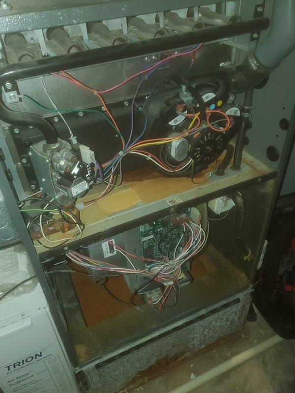 Completed comprehensive tune-up and maintenance on 25-year-old furnace unit located in exterior basement access area. Performed full system inspection including blower motor assembly, capacitor testing, heat exchanger examination, burner components, electrical connections, and control board functionality. All components cleaned, tested, and verified operational; system running within normal parameters at time of service completion.