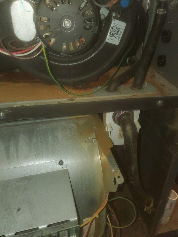 Completed comprehensive tune-up and maintenance on 25-year-old furnace unit located in exterior basement access area. Performed full system inspection including blower motor assembly, capacitor testing, heat exchanger examination, burner components, electrical connections, and control board functionality. All components cleaned, tested, and verified operational; system running within normal parameters at time of service completion.