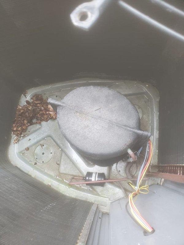 Completed routine preventive maintenance on residential air conditioning system under Worry Free Service Agreement. Inspection revealed significant dirt and debris accumulation on condenser coil fins with visible mold and mildew staining affecting heat transfer efficiency. Interior compartment showed corrosion and rust debris accumulation near refrigerant lines requiring attention. Performed standard maintenance protocol including system inspection, cleaning procedures, and operational verification to ensure optimal cooling performance for the season.