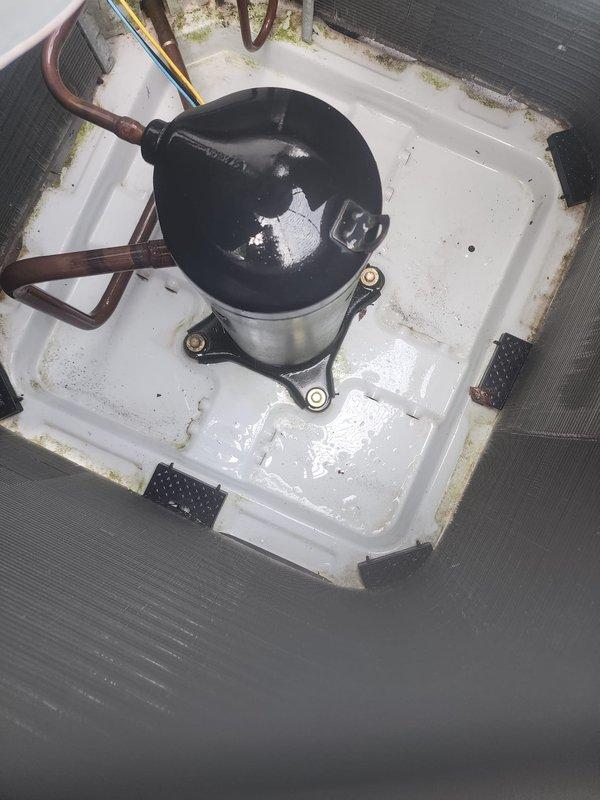 Completed scheduled prepaid maintenance tune-up on residential cooling system. Performed comprehensive inspection of outdoor condenser unit and indoor components. System found operating within normal parameters with adequate airflow and proper refrigerant pressures. Inspected compressor assembly, refrigerant line connections, and insulation integrity—all components in satisfactory condition. Noted condensate drainage functioning properly with moisture present in drain pan as expected during normal operation. Outdoor unit positioned on concrete pad with wooden privacy enclosure showing typical weathering. System tested and confirmed operational at time of service completion.