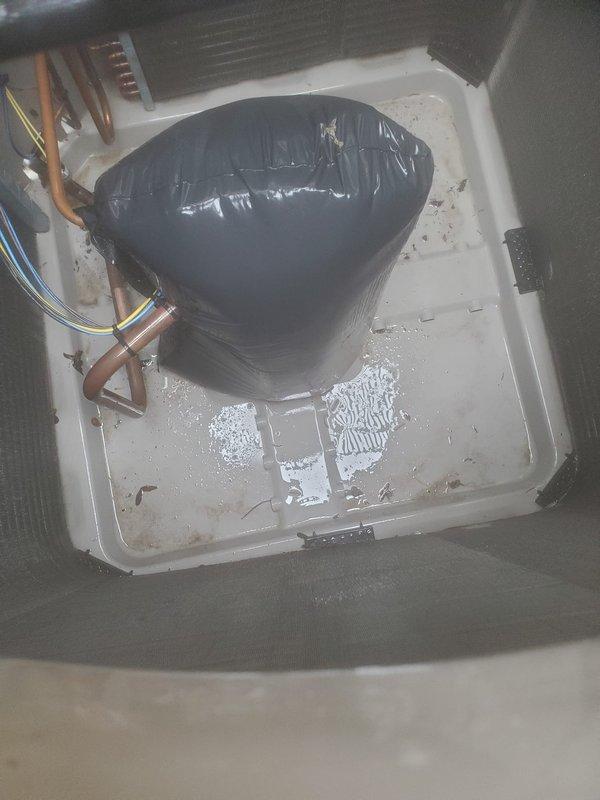 Completed preventive maintenance on residential air conditioning system under Worry Free Service Agreement. Inspected outdoor condenser unit with visible debris accumulation on coil fins and indoor evaporator coil with active condensation in drain pan. Performed standard cooling season maintenance procedures including visual inspection of refrigerant lines, verification of proper drainage operation, and assessment of overall system condition.