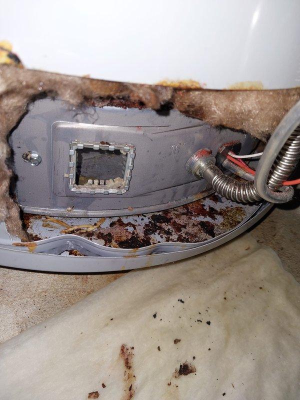Responded to service call for leaking tanked water heater. Upon inspection, discovered significant rust corrosion and moisture accumulation at the base of the unit, particularly around the drain pan area and plastic component housing. Heavy rust deposits and deteriorated material indicated prolonged water exposure and compromised structural integrity of the tank base. Documented extensive corrosion damage affecting the water heater's lower collection area and surrounding metal surfaces. Assessed unit condition and photographed damage for service records.