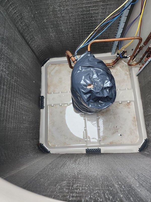 Completed routine air conditioning maintenance on residential split system. Inspected outdoor condenser unit, confirming proper placement on concrete pad with adequate clearance from landscaping and no visible damage or debris accumulation. Verified refrigerant line connections and electrical conduit integrity at exterior unit. Inspected indoor air handler components including emergency drain pan, condensate drainage system, and refrigerant line connections in mechanical space. All equipment operating within normal parameters with no immediate service needs identified.