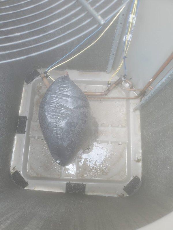 Completed scheduled air conditioning tune-up on five-year-old outdoor condensing unit located at rear of residence. Performed comprehensive system inspection including condenser coil examination, refrigerant line check, electrical connections verification, and condensate drainage system evaluation. Unit operating within normal parameters with proper condensate collection observed in drain pan and trap assembly functioning correctly.