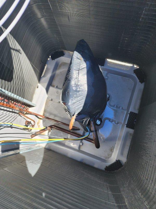 Completed scheduled AC maintenance on rooftop condensing unit. Performed comprehensive system inspection including examination of compressor, refrigerant lines, condenser coil, electrical connections, and drain pan. All components found to be in proper working condition with normal operational wear. Condenser coil fins clean and properly aligned, refrigerant lines showing typical oxidation patina with no leaks detected, and electrical connections secure. Unit operating within manufacturer specifications.