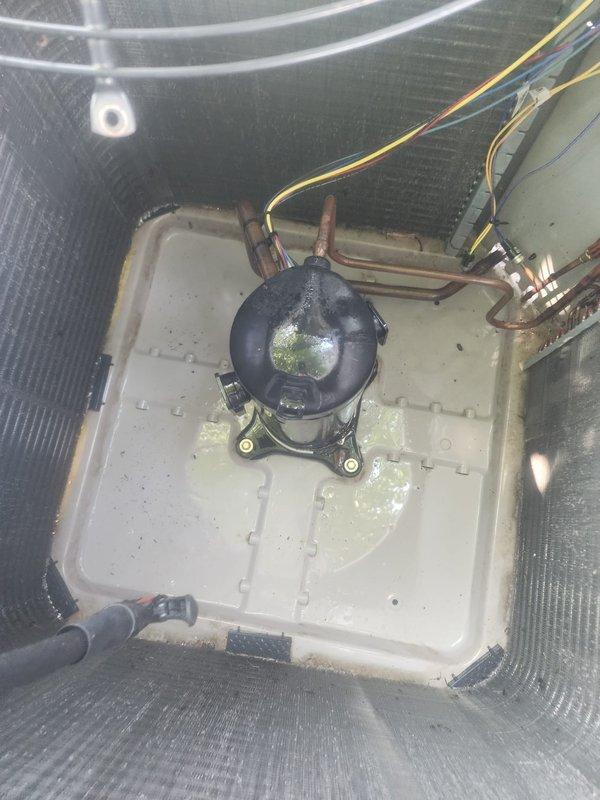 Responded to customer complaint of musty, moldy odor from air conditioning system during cooling operation. Performed comprehensive inspection of indoor evaporator coil assembly and condensate drainage system. Found biological growth and moisture accumulation in drain pan causing malodorous discharge into conditioned air stream. Cleaned and treated evaporator coil, drain pan, and condensate line with antimicrobial solution to eliminate microbial contamination. Verified proper condensate drainage flow and cleared any blockages. Inspected outdoor Bryant condenser unit for proper operation and airflow. System tested and confirmed cooling operation without odor. Unit returned to normal service under Worry Free Service Agreement coverage.