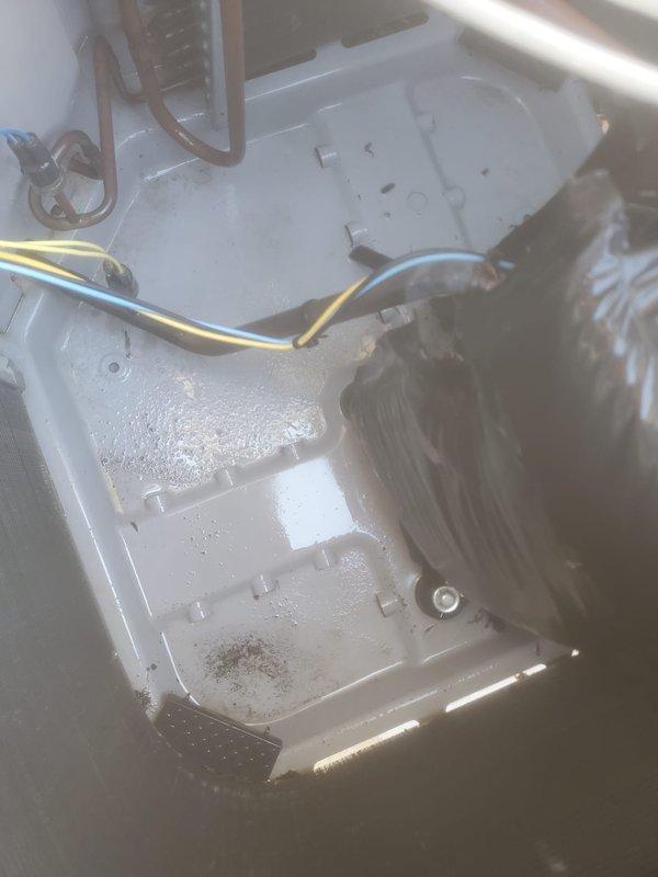 Completed routine air conditioning maintenance on Carrier outdoor condensing unit. Performed system inspection, verified proper operation of condenser coil and refrigeration lines, and documented equipment condition with interior and exterior components showing normal moisture levels consistent with active cooling cycle.