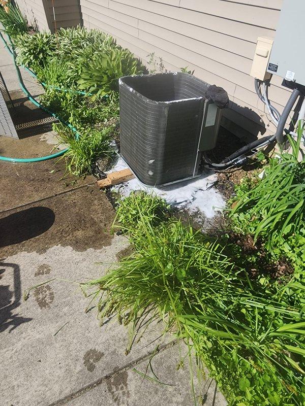 Replaced failed contactors on outdoor condensing unit and completed comprehensive preventive maintenance service. Inspected compressor, refrigerant lines, electrical connections, and cabinet condition. Unit tested and verified operational upon completion.