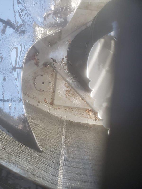 Completed scheduled preventative maintenance tune-up on residential cooling system. Performed comprehensive inspection of outdoor condenser unit and indoor air handler components, documenting equipment condition with photographs. System confirmed operational with no immediate repairs required at time of service.