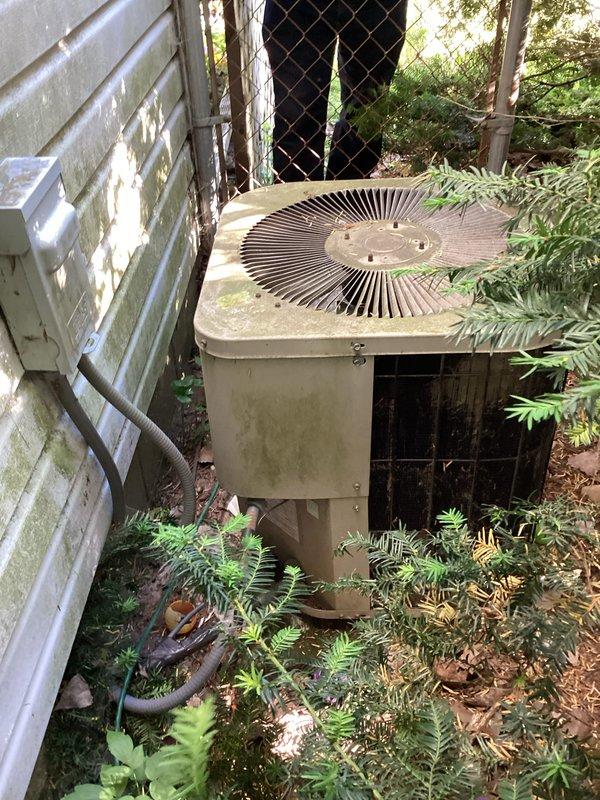 Conducted on-site assessment of existing air conditioning system to provide estimate for unit relocation from side yard to rear of property to meet updated municipal code requirements. Evaluated older model outdoor condenser unit showing weathering and vegetation encroachment, with age undetermined as system was present at time of home purchase. Inspected indoor Carrier furnace and ductwork configuration in utility area to determine feasibility of refrigerant line rerouting and electrical modifications required for relocation project. Documented current equipment condition and installation layout with photographs for estimate preparation, noting system currently operational with no reported performance issues.