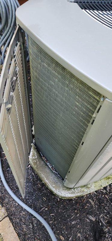 Completed routine maintenance on outdoor AC condensing unit. Inspected condenser coil and noted significant accumulation of dirt and organic growth causing greenish discoloration on coil fins. Checked fan motor assembly and protective grille, observing normal wear and minor surface oxidation consistent with outdoor exposure. Verified refrigerant lines and unit mounting on concrete pad, noting minor algae growth on cabinet base due to moisture exposure.