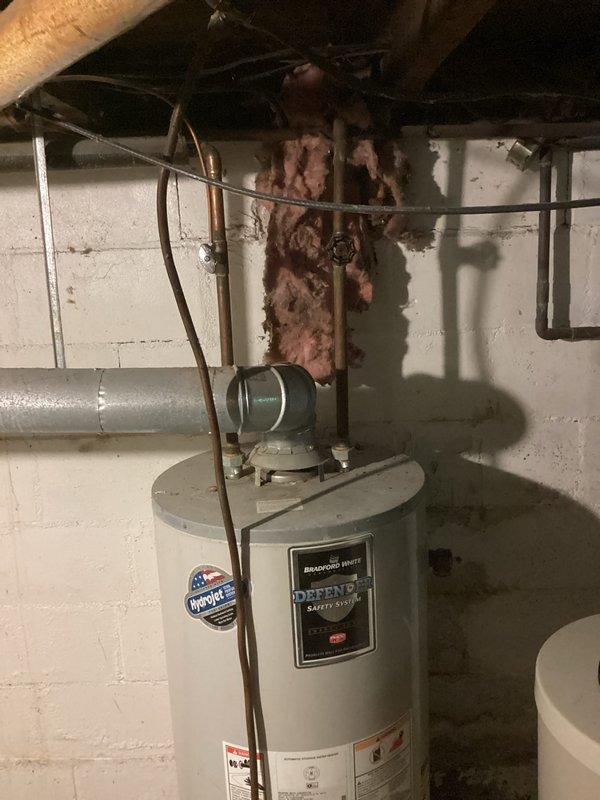 Conducted on-site assessment for water heater replacement in basement utility area. Existing Defender brand water heater evaluated for replacement, with documentation of current installation including copper supply piping and overhead plumbing connections. Noted deteriorating fiberglass insulation in ceiling area above unit requiring attention during installation. Photographed existing equipment, ductwork configuration, and mechanical room layout to prepare accurate replacement estimate.
