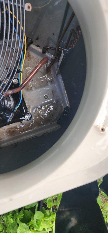 Completed scheduled AC maintenance on outdoor condenser unit. Inspected fan assembly, electrical connections, and refrigerant lines. Cleaned debris from unit interior and verified proper operation of all components. Unit operating within normal parameters.
