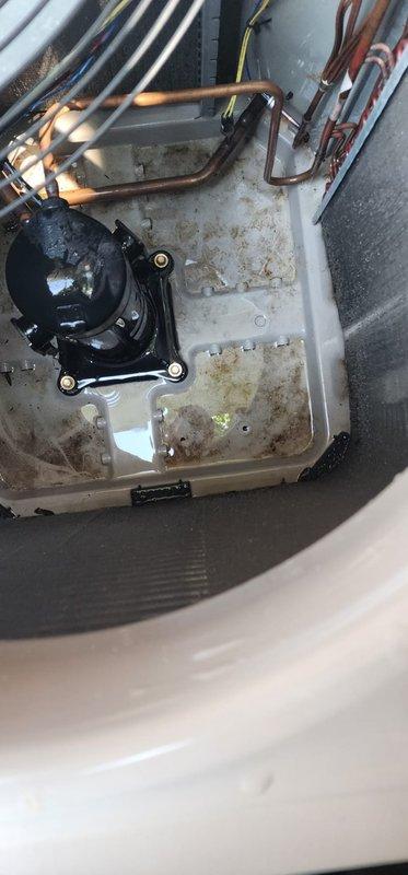 Completed preventive maintenance on residential split-system air conditioning unit. Performed comprehensive inspection of outdoor condensing unit and indoor air handler components, including compressor, refrigerant lines, evaporator coil assembly, and condensate drain pan. All equipment components found operating within normal parameters with typical wear patterns consistent with regular system operation.