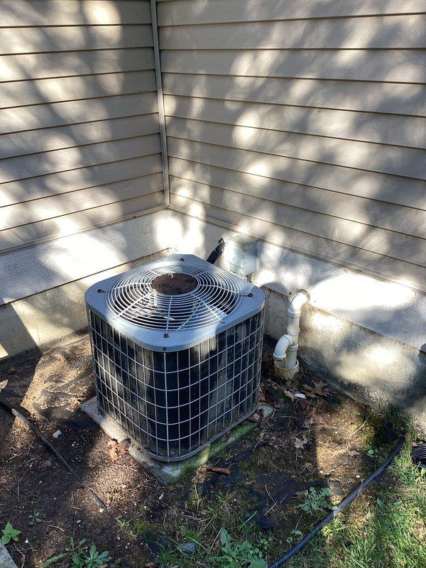 Provided estimate for complete HVAC system replacement of aging 1996 equipment, including outdoor condensing unit positioned on exterior concrete pad and indoor Carrier furnace with vertical plenum assembly located in basement utility area. Assessed existing natural gas furnace configuration, ductwork connections, and current system layout to recommend appropriate replacement equipment sizing and specifications for improved efficiency and reliability.