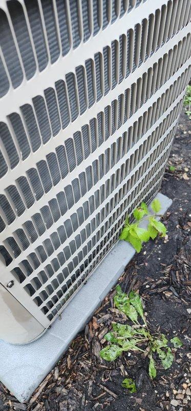 Completed preventive maintenance inspection on two residential air conditioning systems under Worry Free Service Agreement. Performed standard cooling season maintenance protocol including filter inspection, condenser coil evaluation, refrigerant level assessment, electrical connection verification, and operational testing on both units. Both outdoor condensing units showed normal wear with minor debris accumulation around base perimeters; noted vegetation growth near unit foundations requiring periodic clearance to maintain proper airflow and system efficiency.