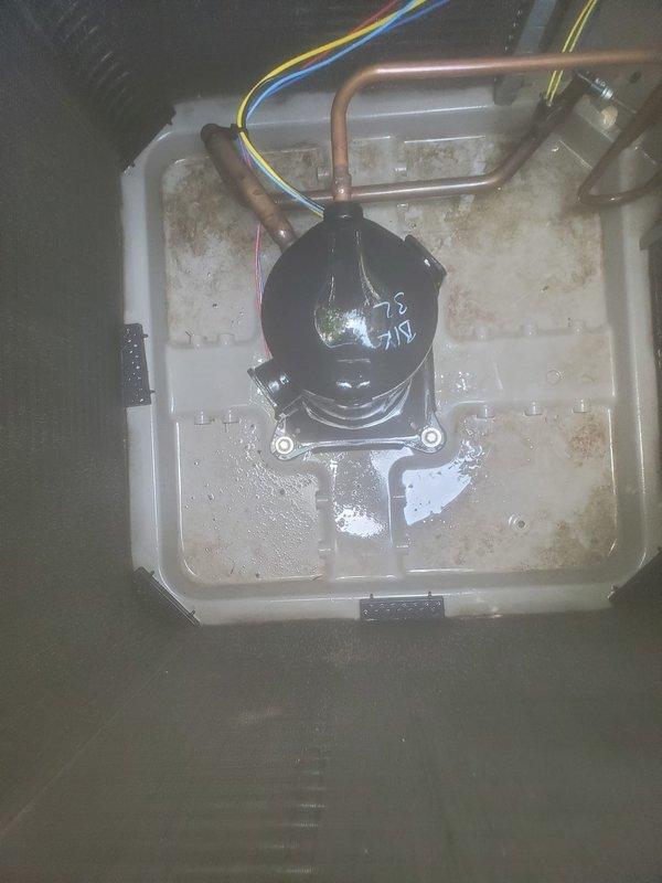Completed scheduled preventive maintenance tune-up on Bryant air conditioning system as part of prepaid maintenance program. System was operating properly upon arrival. Performed comprehensive cooling season inspection including visual examination of outdoor condensing unit, verified compressor operation, inspected refrigerant lines and insulation integrity, checked electrical connections and wiring, and evaluated drain pan condition. All components found functioning within normal parameters with no deficiencies noted.