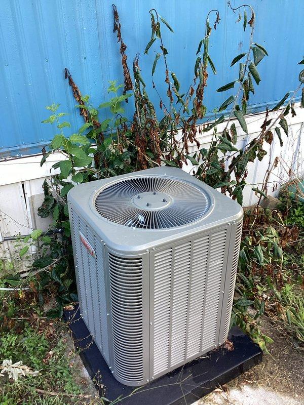 Completed warranty service on Bryant condenser unit addressing mechanical and refrigeration concerns. Removed excessive plant material and vegetation that had grown into and around the condenser unit, clearing all obstructions from louvers and airflow paths to restore proper operation. Sealed penetration point where refrigerant lineset enters building foundation to prevent air infiltration and pest entry. Installed proper-sized collar on chimney penetration to seal open areas around flue pipe per code requirements. Documented all conditions and repairs with photographs for warranty records.