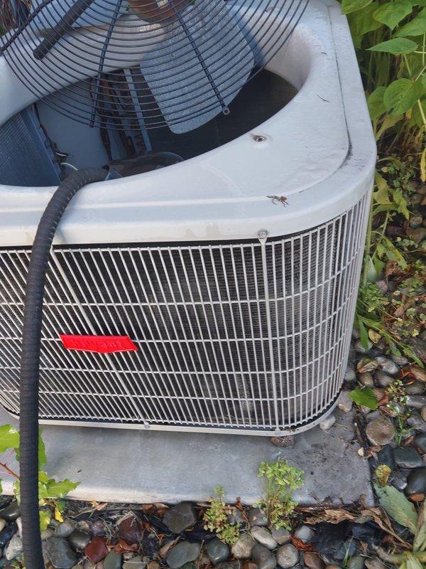 Completed comprehensive maintenance service on residential outdoor condensing unit. Performed standard 10-12 point inspection including visual examination of compressor assembly, refrigerant line connections, electrical wiring, fan motor operation, and condenser coil condition. Verified proper mounting and hardware security, confirmed unit operational status, and documented equipment condition with exterior and interior component photography. All components found in satisfactory working order with normal wear patterns consistent with outdoor installation.