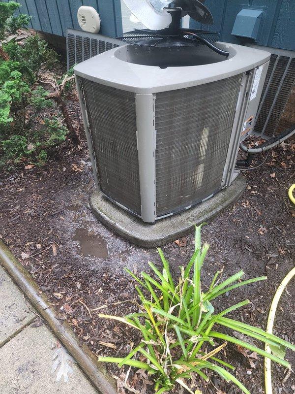 Completed comprehensive AC maintenance on residential split-system condenser unit. Successfully removed bee's nest from equipment that was previously interfering with operation. Performed standard maintenance inspection, verified proper fan operation, checked refrigerant lines and electrical connections, and confirmed unit is operating within normal parameters with clear airflow through all louvers.