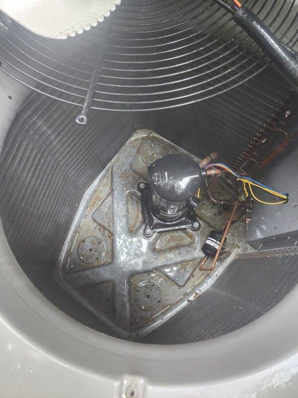 Completed comprehensive AC maintenance on residential split-system condenser unit. Successfully removed bee's nest from equipment that was previously interfering with operation. Performed standard maintenance inspection, verified proper fan operation, checked refrigerant lines and electrical connections, and confirmed unit is operating within normal parameters with clear airflow through all louvers.