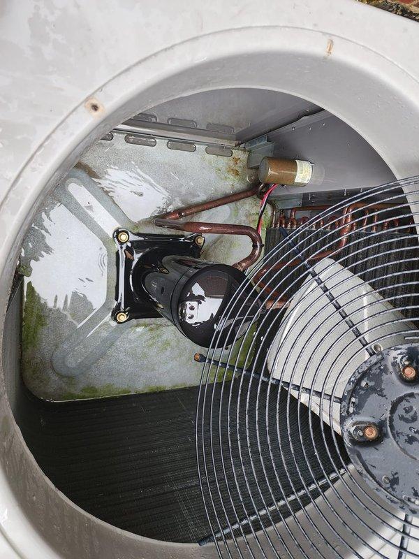 Completed scheduled AC maintenance on condensing unit. Inspected condenser fan motor assembly, compressor components, electrical connections, and capacitor. Noted biological growth and moisture accumulation in base pan requiring attention. Examined condenser coil fins showing dust and debris accumulation on mesh surface. All mechanical and electrical components operational at time of inspection.