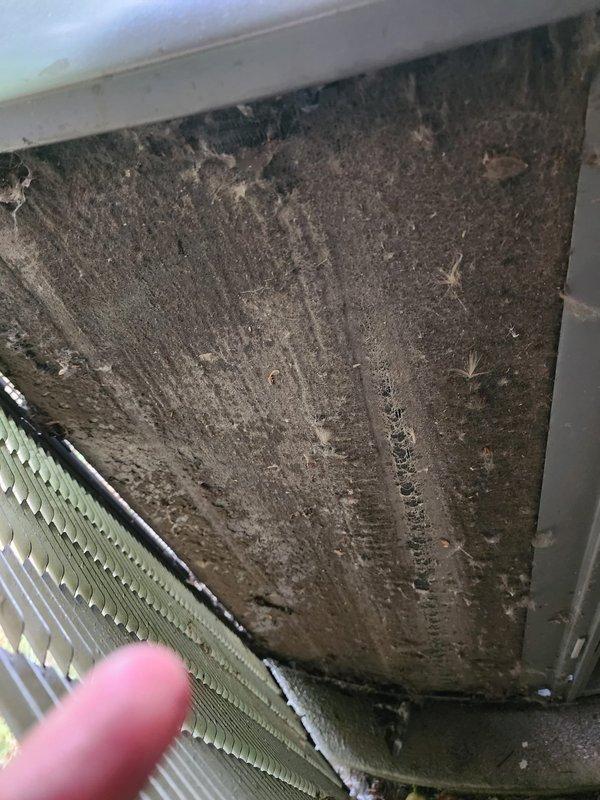 Completed routine AC maintenance on a 3-year-old air conditioning system located at the rear of the property. Inspection revealed significant dust and debris accumulation on the evaporator coil and internal surfaces of the air handler, as well as clogged condenser unit filters. Cleaned and serviced both indoor and outdoor components, removed filter panel for cleaning, and cleared debris from condenser grille to restore proper airflow and system efficiency.