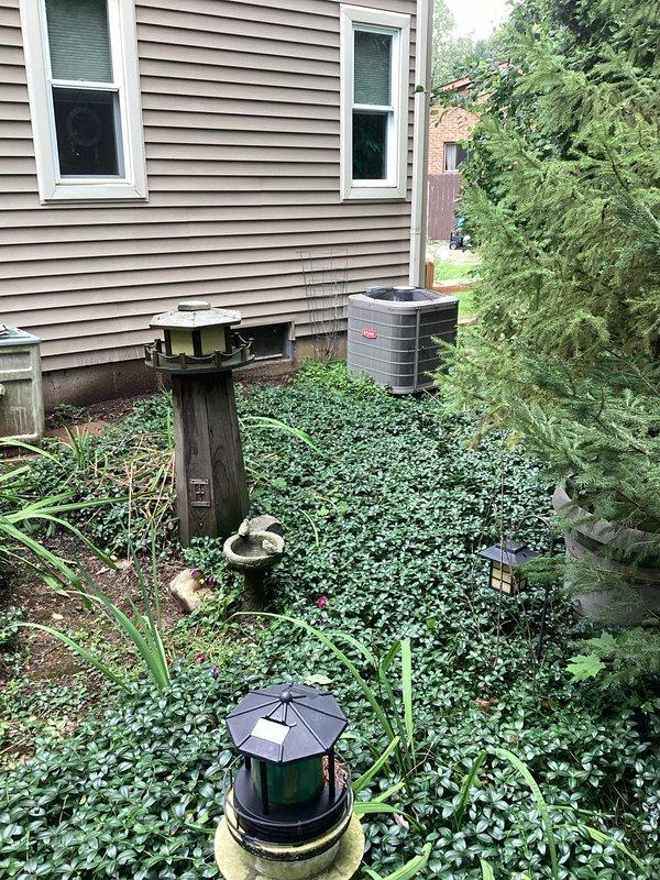 Conducted comprehensive site evaluation for standby generator installation at residential property. Assessed existing natural gas utility infrastructure, evaluated optimal placement location considering clearance requirements from gas meter and HVAC equipment, and documented site conditions including foundation access, ground cover vegetation, and adequate clearances from windows and property boundaries for code-compliant generator installation.