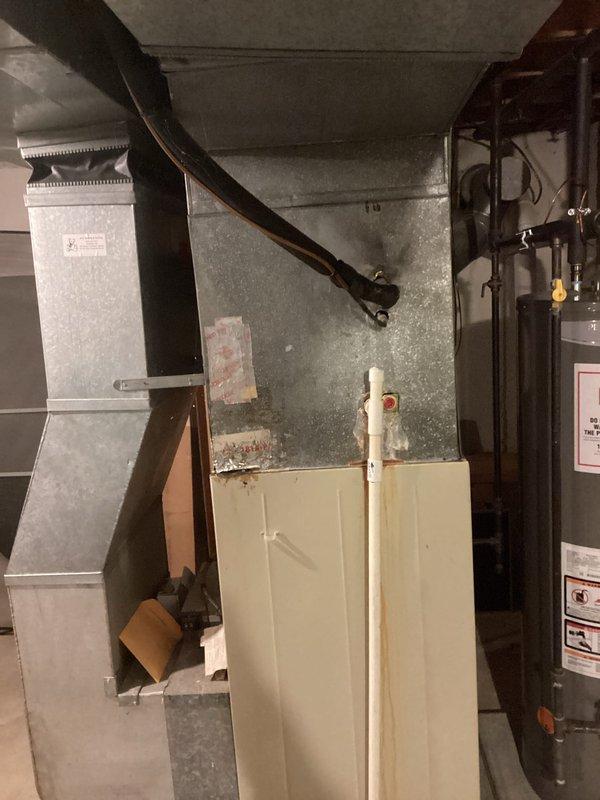 Provided comprehensive estimate for furnace replacement system in basement mechanical room. Current natural gas furnace from 1984 is operational but nearing end of service life. Assessed existing ductwork configuration, venting system with PVC exhaust, and available space constraints for new equipment installation.
