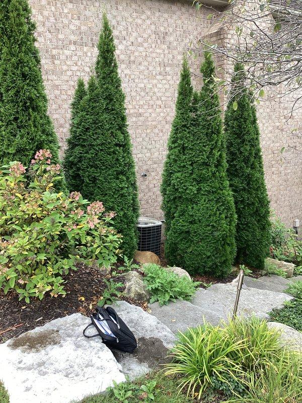Provided comprehensive estimate for replacement of existing Bryant 3.5 ton air conditioning system after compressor failure rendered unit inoperable. Assessed outdoor condensing unit positioned against brick wall exterior, evaluated refrigerant line routing and electrical connections, and documented current system configuration including mounting location and landscape considerations. Presented replacement options for new 3.5 ton AC system to restore cooling capacity to residence.