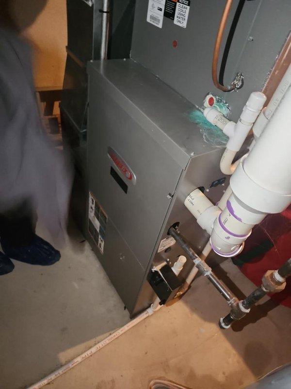 Completed furnace maintenance under Worry Free Service Agreement, including inspection of blower assembly, control board, and all electrical connections. Performed hot water tank flush as additional service, draining sediment buildup and verifying proper operation of temperature and pressure relief valve.