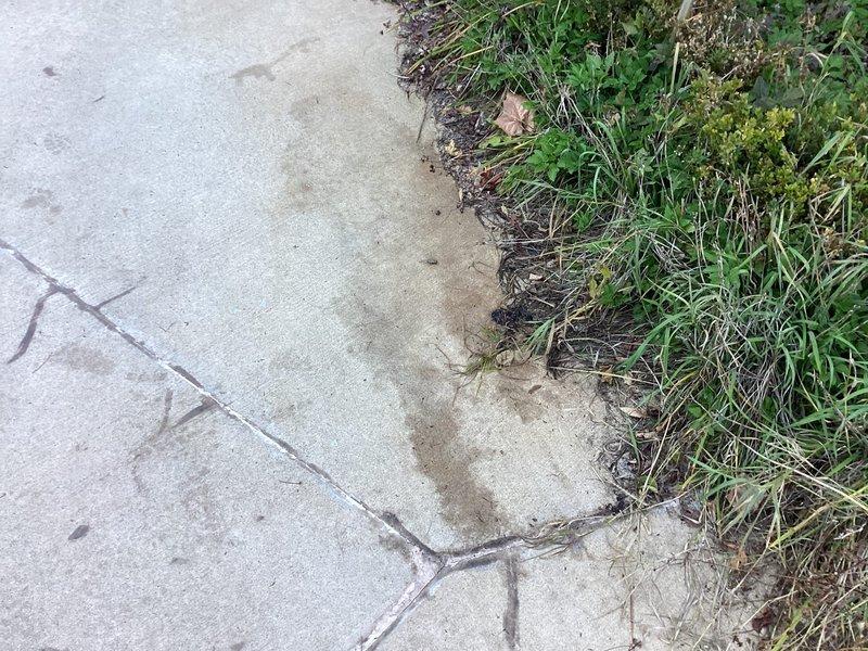 Responded to callback regarding oil contamination concerns on driveway and reports of oily water. Upon inspection, photographed basement mechanical room showing water treatment system including blue pressure tank, black filtration units, and white water softener tanks with digital control heads, all in operational condition with no visible oil leaks from HVAC equipment. Exterior inspection revealed concrete driveway with normal weathering and staining but no active oil discharge; no oil contamination detected on pavement or requiring cleanup at time of visit.